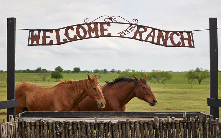 Welcome to the ranch sign with two horse standing beneath 